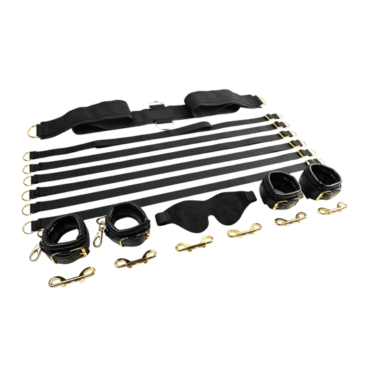 Special Edition Under the Bed Restraint System®