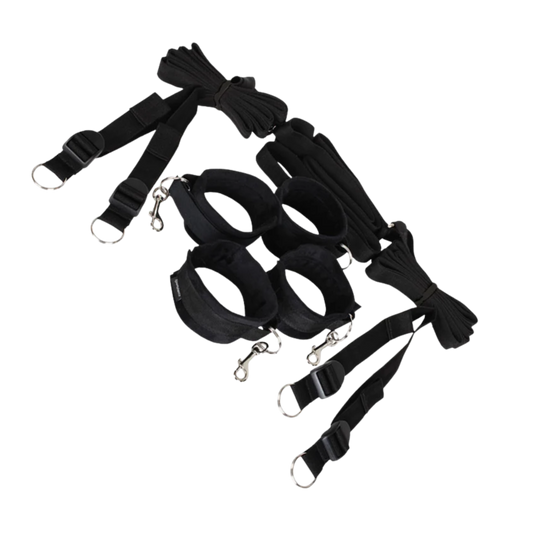 Under The Bed Restraint System